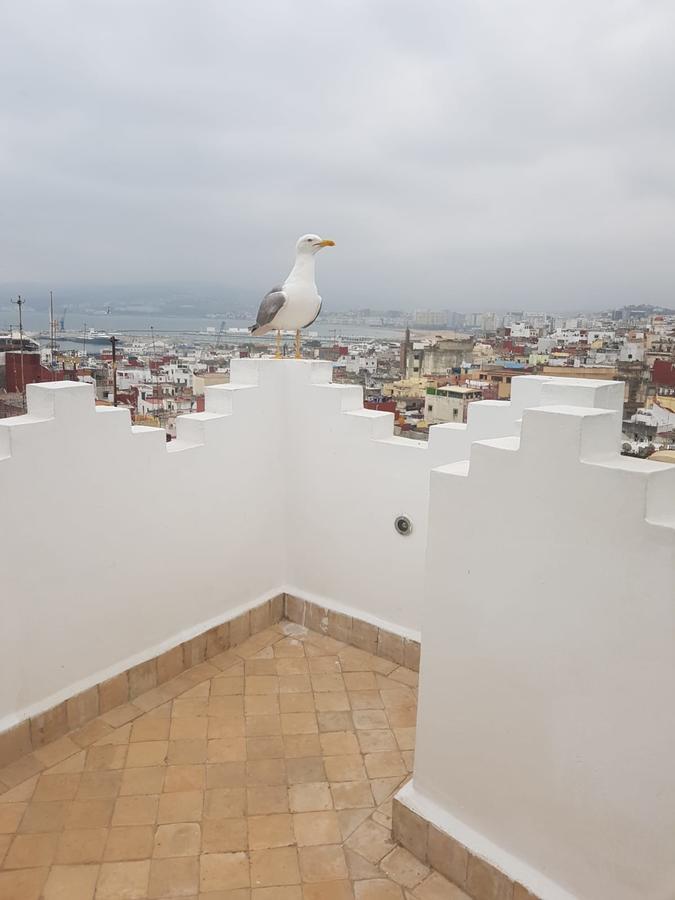 Maison Medina, Terrasse Panoramique, Vue Mer Tanger Buitenkant foto